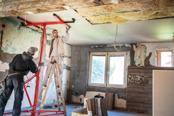 Best Specialized Insulation Services in Feather Sound, FL